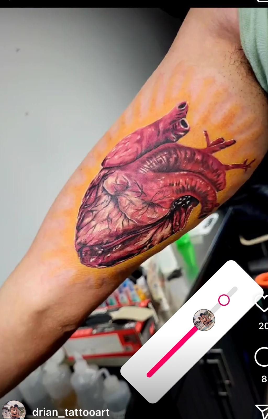 Anatomical heart by Adrian