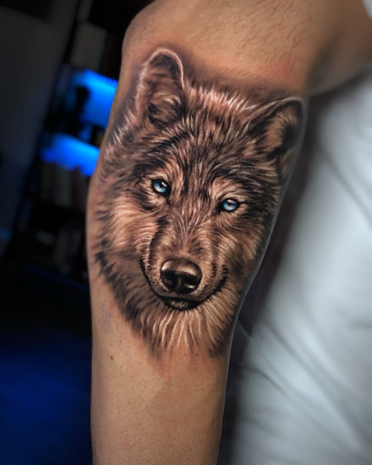 Realistic wolf portrait by Brenden